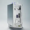 Medicine/Mirror Cabinets 