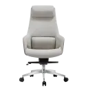 Conference Chair